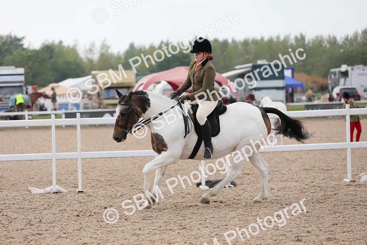 SBM_12728 - Class 307 Ridden Coloured Pony