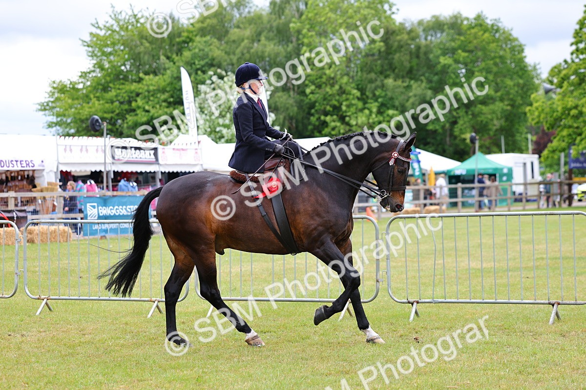 SBM_02981 - Class 9-11 Side Saddle including LIHS Rising Star Ladies Show Horse