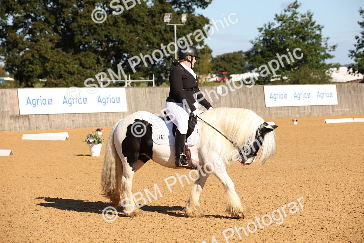 SBM_01863 - D2 Small Tour Championship Intro C