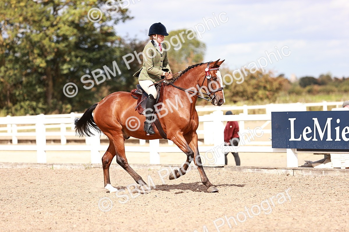 SBM_14433 - Class 410 - Grassroots Ridden - Horse
