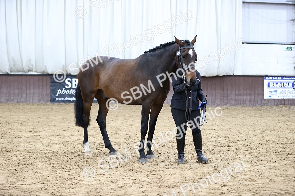 SBM_5778 - Class 3 - BSHA In Hand Show Hunter