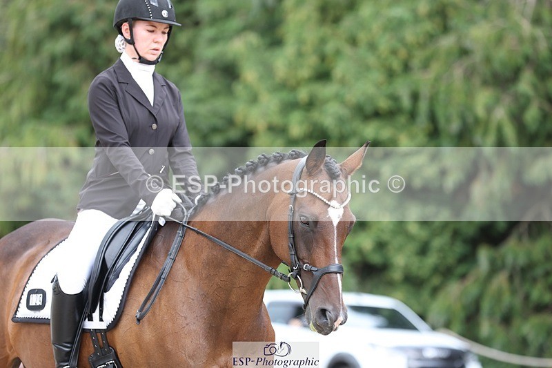 230813-153128-08095 - Cls 11 Elem Bronze 14.30 to End