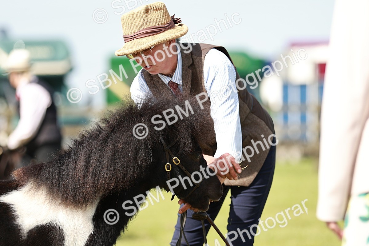 SBM_01916 - Class 14-23 - Mountain & Moorland In Hand Non Welsh
