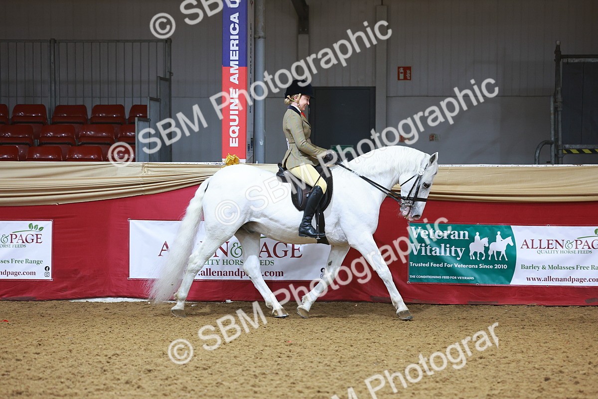 SBM_07600 - Class 101 - HOYS Veteran Qualifier - Ridden Diamond