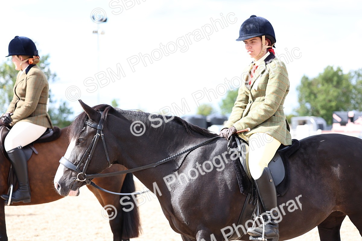 SBM_15841 - Class 314 - Family Horse - Pony