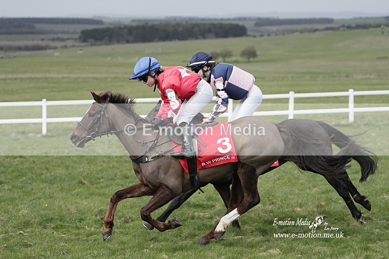 PtP 260323 1038 - New Forest Hounds Point-to-Point Larkhill 26/03/23