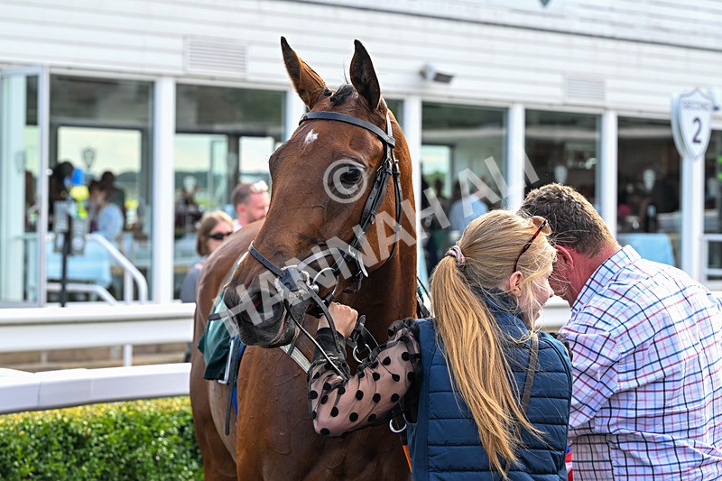 260826-Race 6-Lanarra-4007 - Race 6 16:52 Celebrate National Racehorse Week Classified Stakes