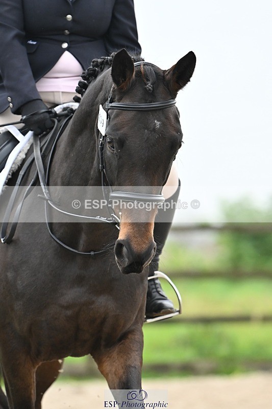 241103-113700-01212 - Prelim 1 - 11.31 to 12.55