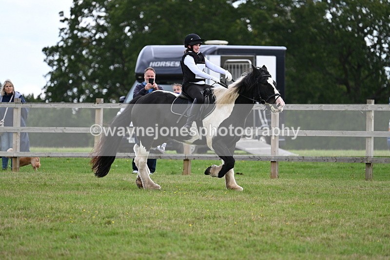 WJ7_8415 - 60cm Time 12:11 to 12:30