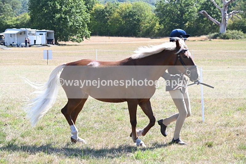 WJ6_4712 - Class 17 Mountain & Moorland