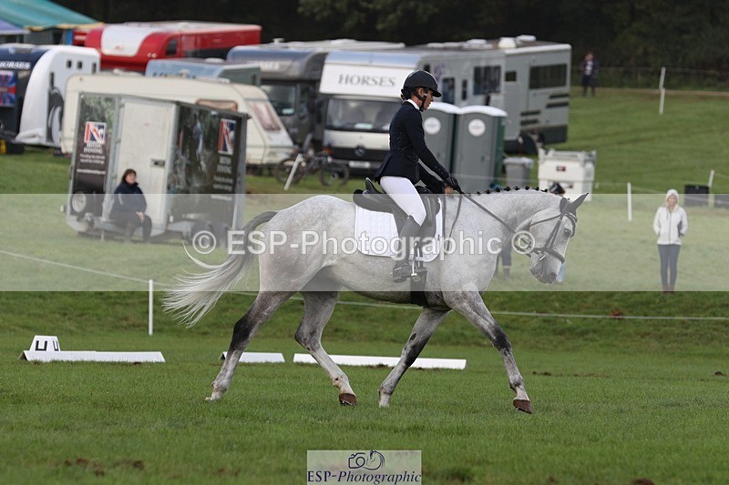 231019-154119-04979 - 557-KILBALLYBOY.SURPRISE-Courtney.Romcke-DR