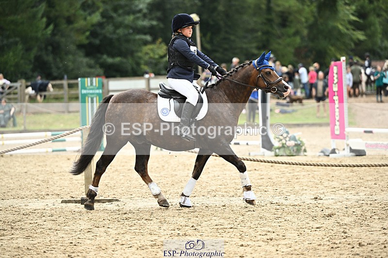 240822X-150230-10660 - 50cm R1 15.00 to 16.00