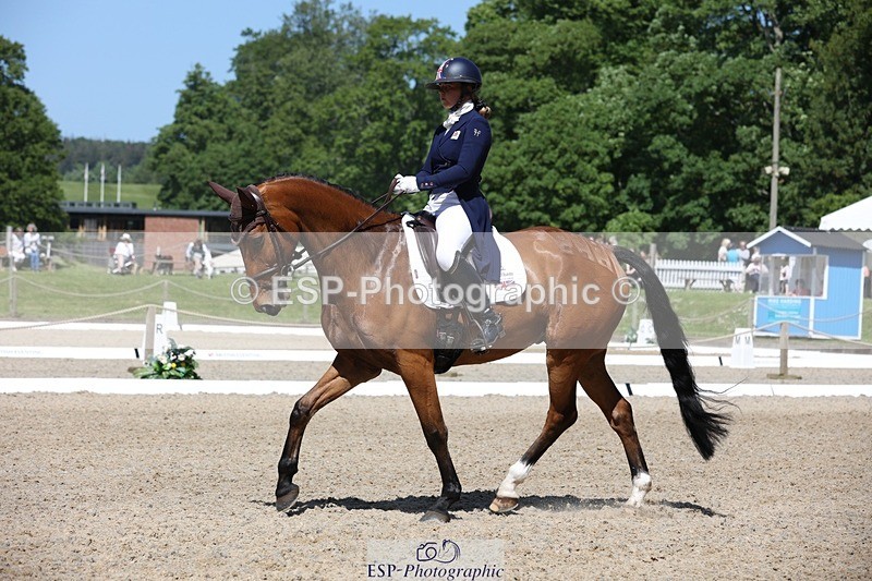 230526-112252-06044 - 152-RENKUM_JITTERBUG-Phoebe_Locke-WEDTrotUp+DR