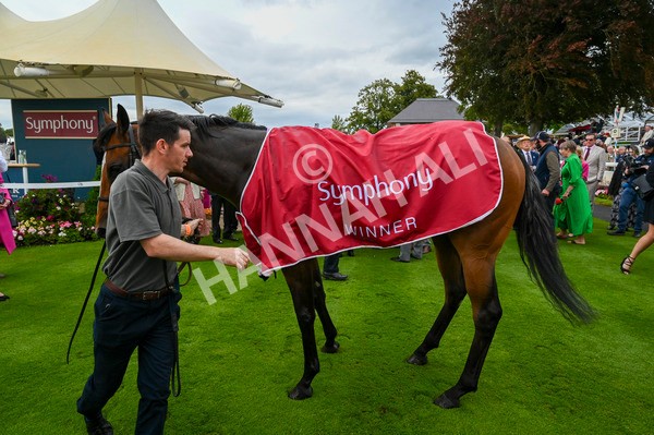 210824-Race 1-Jm Jungle-4756 - Race 1 1.50pm Symphony Group Handicap
