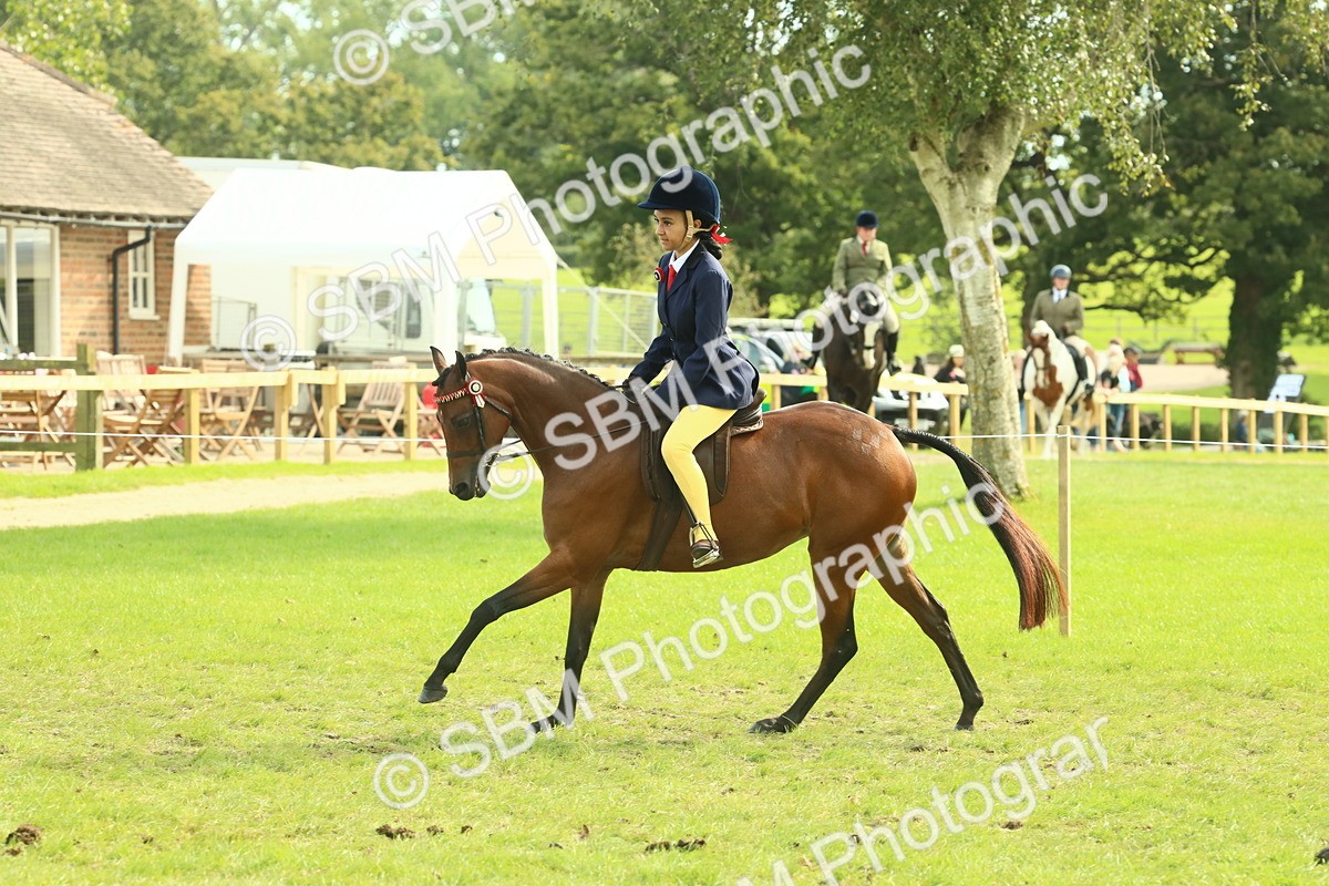 SBM_68096 - S57 - Part Bred Pony Ridden