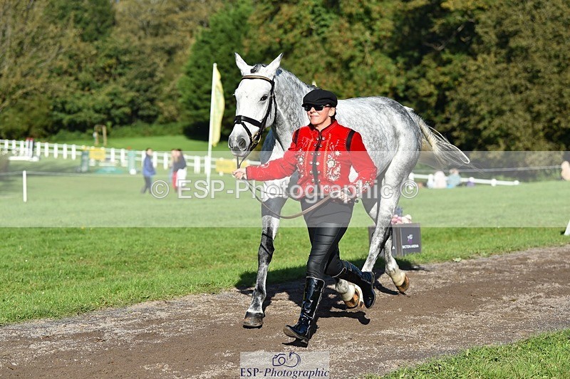 231022-105816-23633 - 411-MIDNIGHT.MOON.DANCER-Jacqueline.Cole-TrotUp+SJ