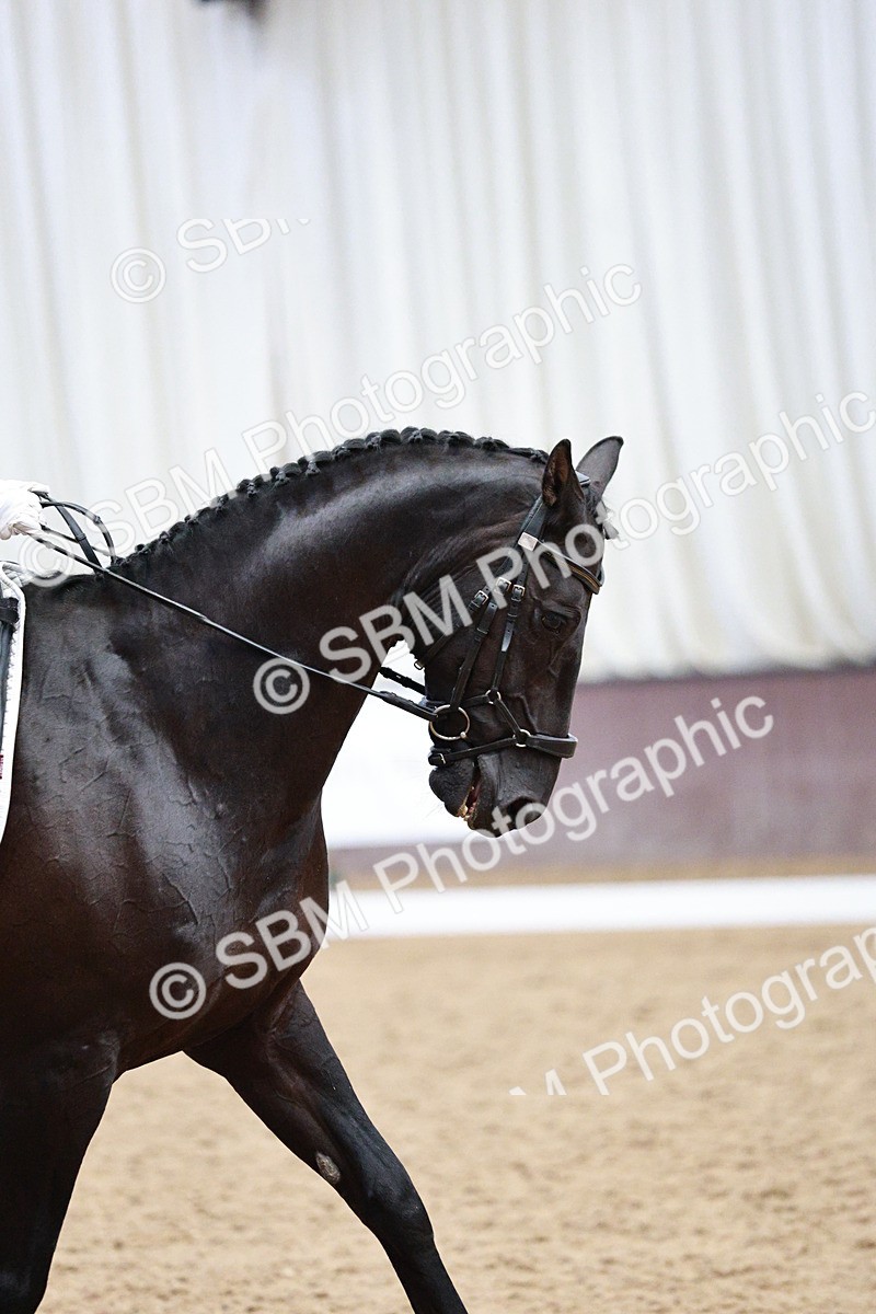 SBM_006440 - Class 16 - Advanced Medium 5 - 16.02-17.22