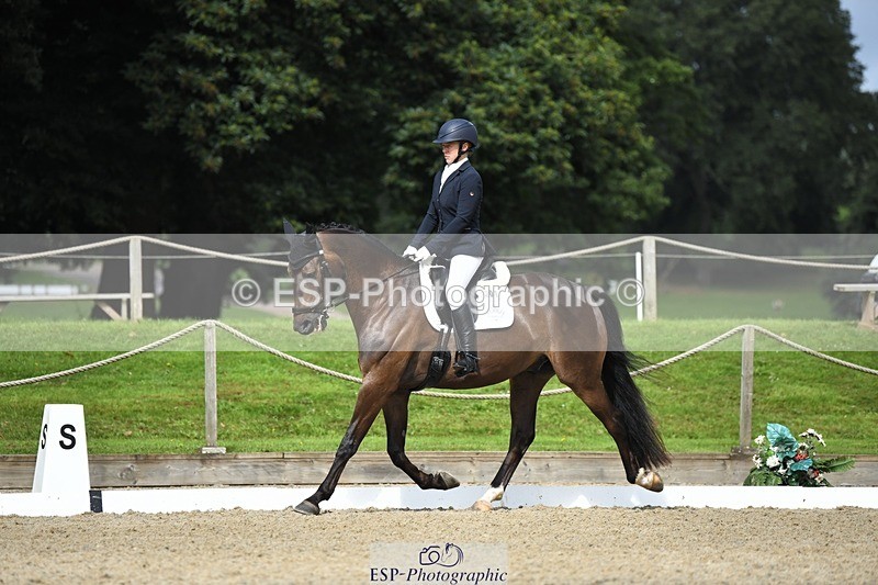 230812-104403-03451 - Cls 6 Novice Silver 10.30 to 11.55 break