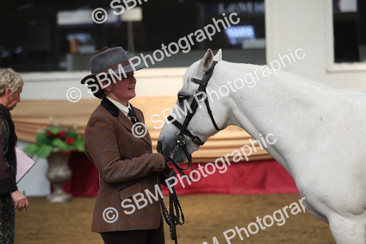 SBM_15350 - Class 501 M&M IH Supreme Final