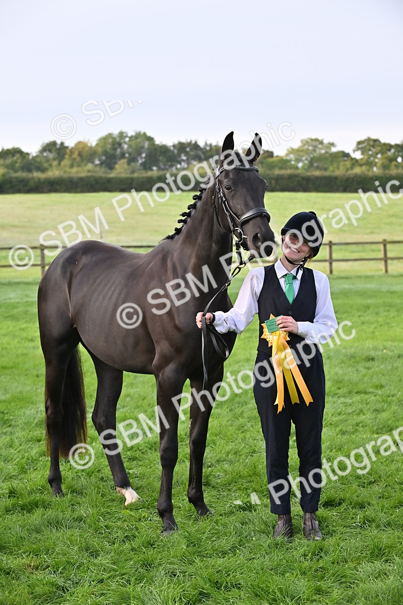 SBM_55384 - S44 - Youngstock In Hand