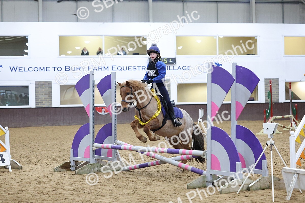 SBM_001075 - Class 3 - Christmas Tree Stakes - 60cm