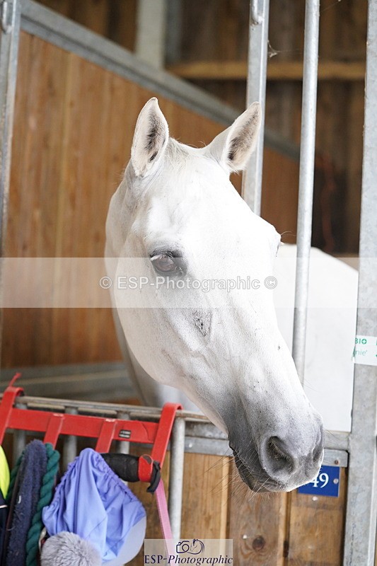 240809A-134632-01009 - Stable Shots