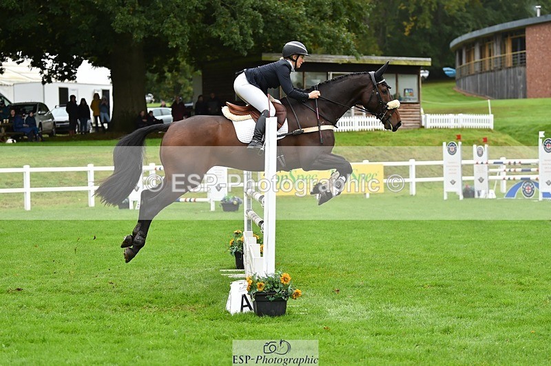 231021-111520-16037 - 012-ROMANY.CRICKET-Nana.Dalton-SJ