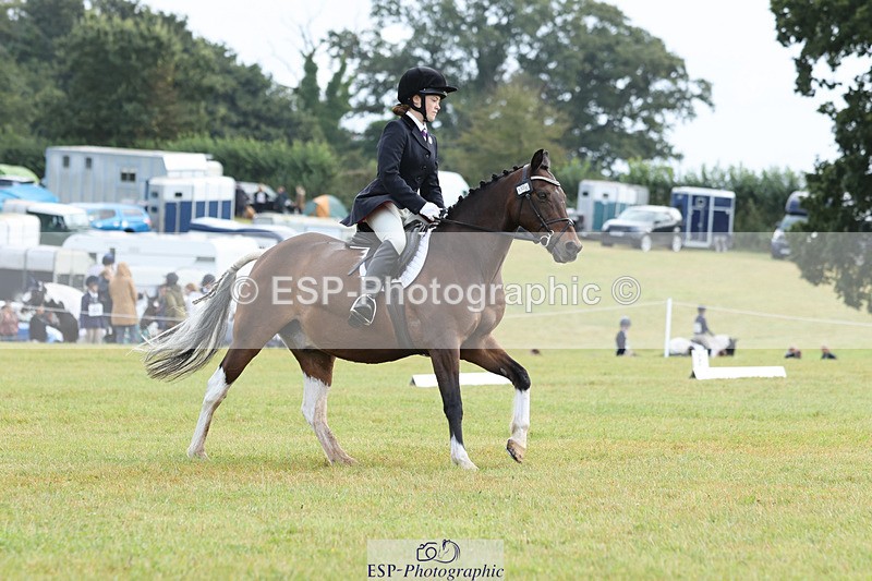 240824X-110618-26841 - D70 Section C and D 9.30 to 11.00