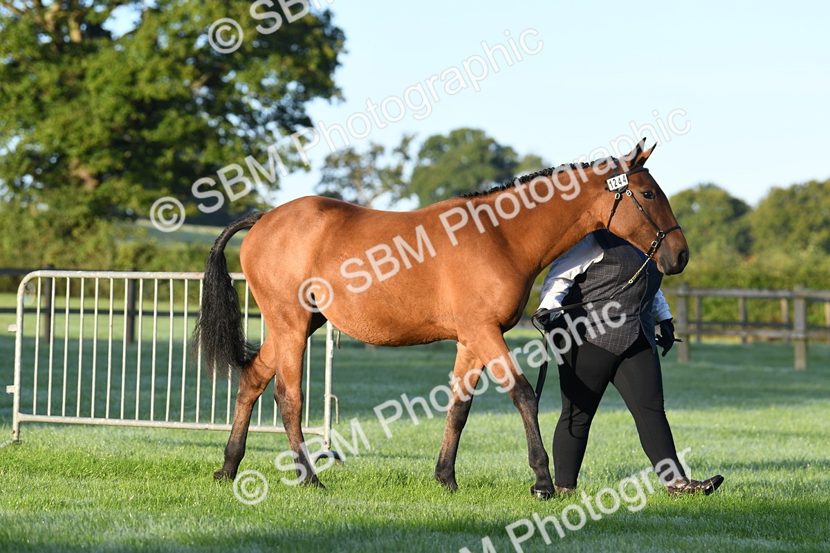SBM_32442 - S15 - Condition & Turnout In Hand