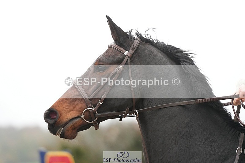 251107-133625-01188 - Cls 6 Foxhunter and 1.20m Open