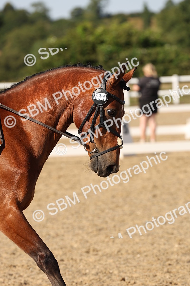 SBM_006962 - Prelim 4 - 15.56-17.51