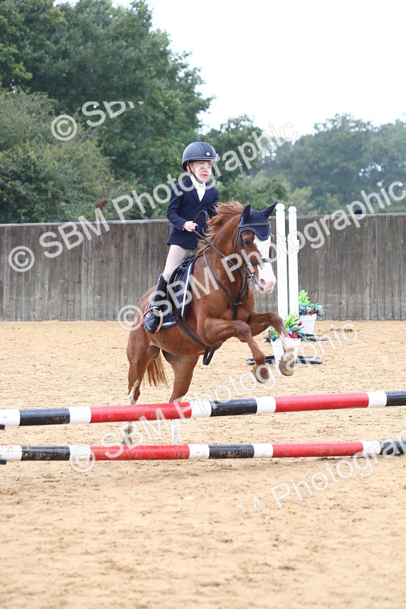 SBM_71565 - J4 - Mini Tour Junior Pony 45cm Championship