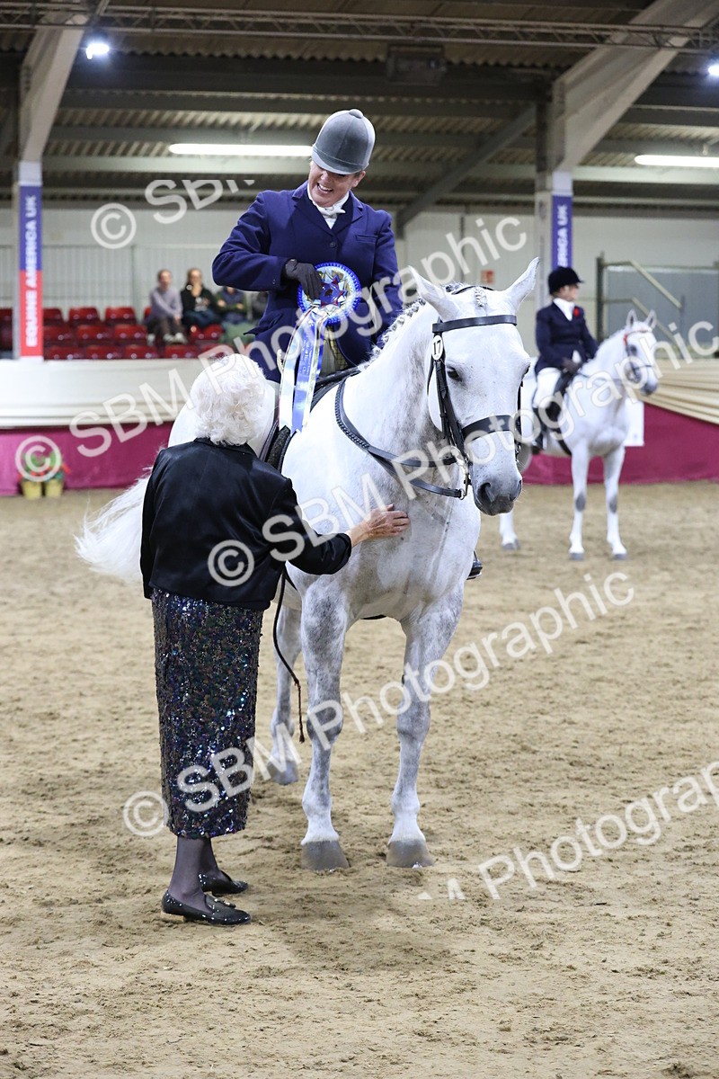 SBM_21193 - class Q - Ridden Horse Champ