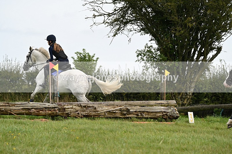 WJ6_9846 - Time 14:11 to 14:30