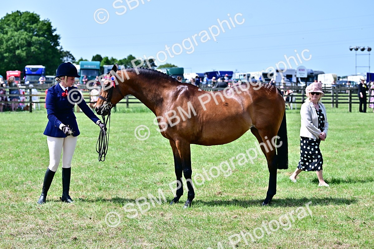 SBM_03865 - Class 58 - TSR  Ridden Veteran Amateur of the year