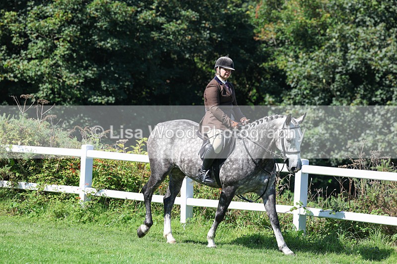 3E7A8316 - Class 4: Novice working Hunter