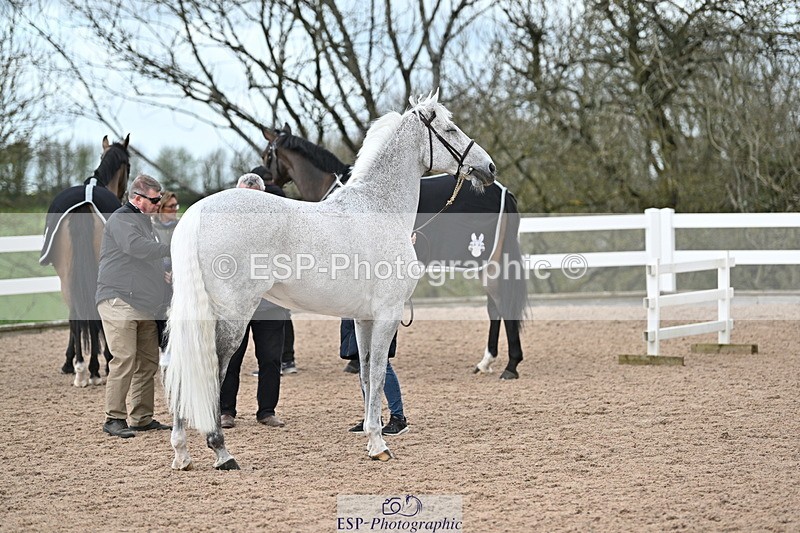 240417A-122418-00114 - 12pm to 1pm