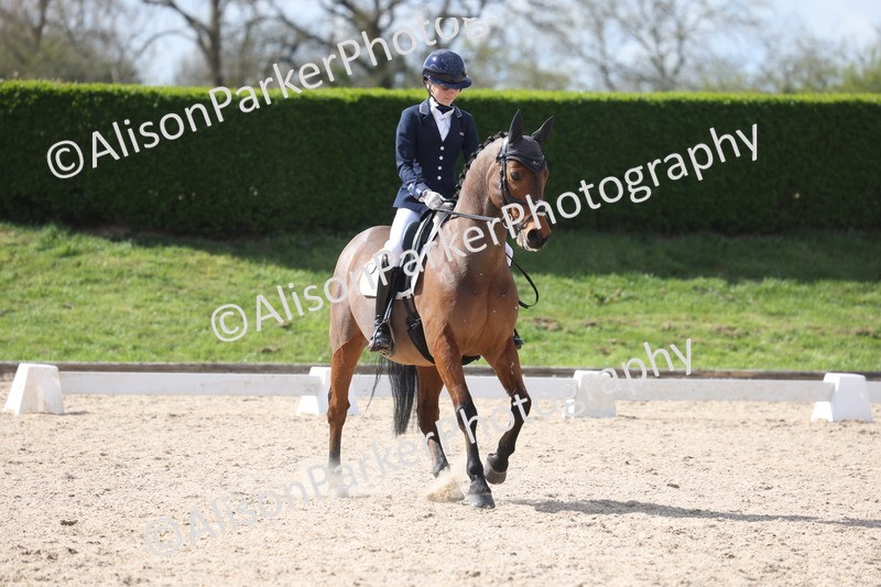 20260405-0782 - Class 8 - Medium 6