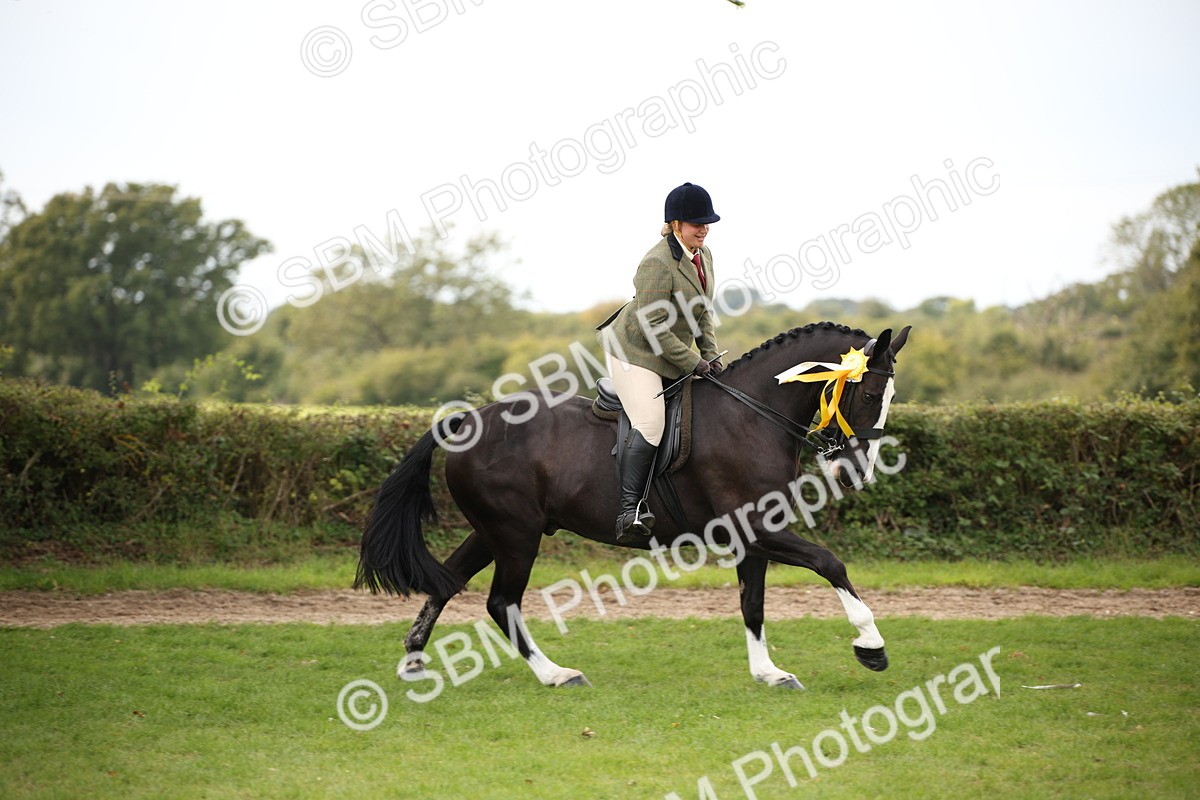 SBM_70452 - S66 - Hunter Ridden