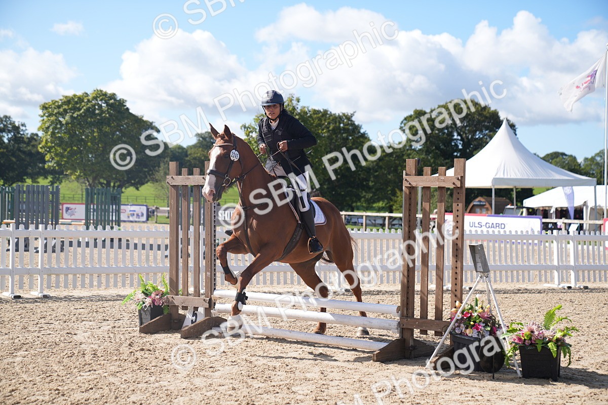 SBM_02430 - J54 Clear Round 45cm