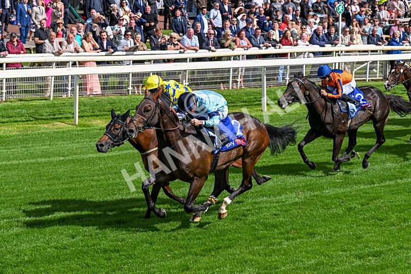 120626-Race 5-Antipodes-0301 - Race 5 16.10pm Sky Bet The World's Gone Football Handicap
