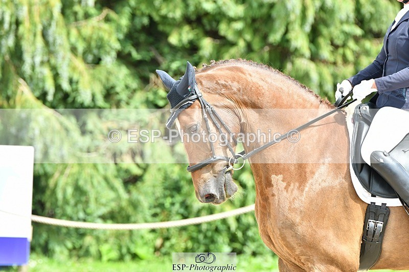 230623-153355-01139 - Cls 7 Medium 69