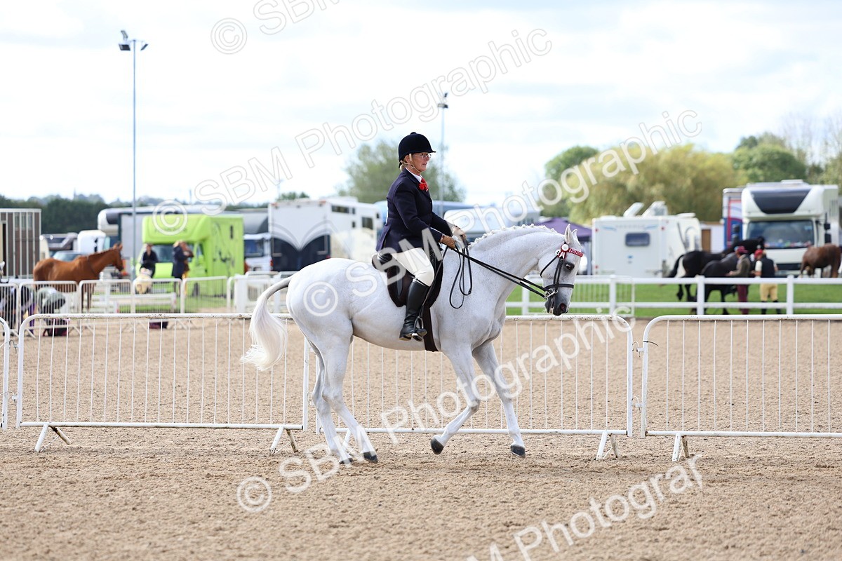 SBM_10049 - Class 304 - Ridden Part Bred Horse Pony