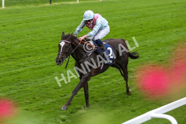 131023-Race 2-Lordship-9755 - Race 2 2.40pm William Hill Finale Handicap