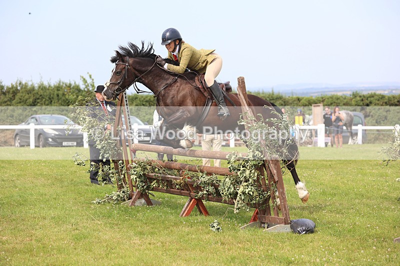 JPP_4032 - Class 24: Working Hunter 90cm