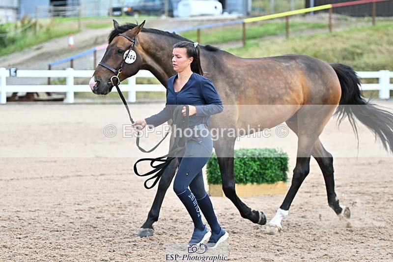 240718A-105309-01624 - Trot Up 1pm to 2pm