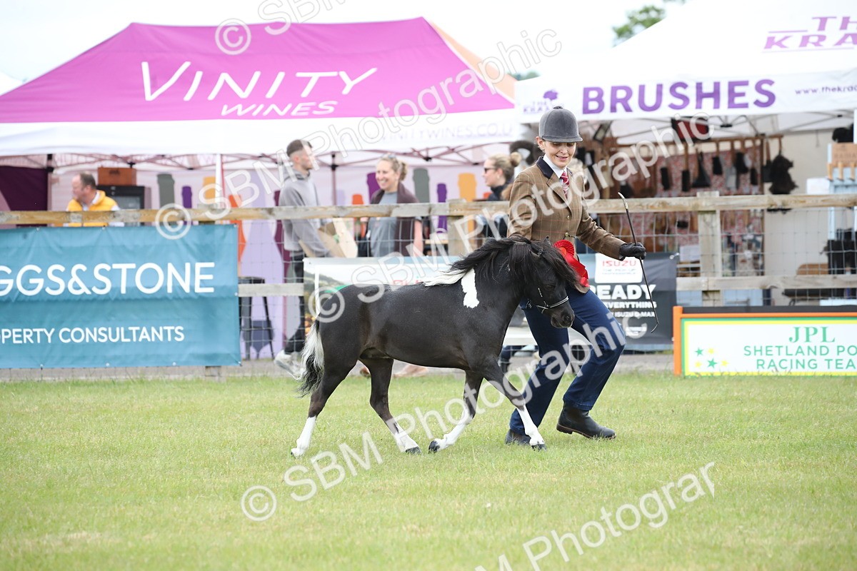 SBM_03846 - Class 23-25 - British Miniature Horse of the Year