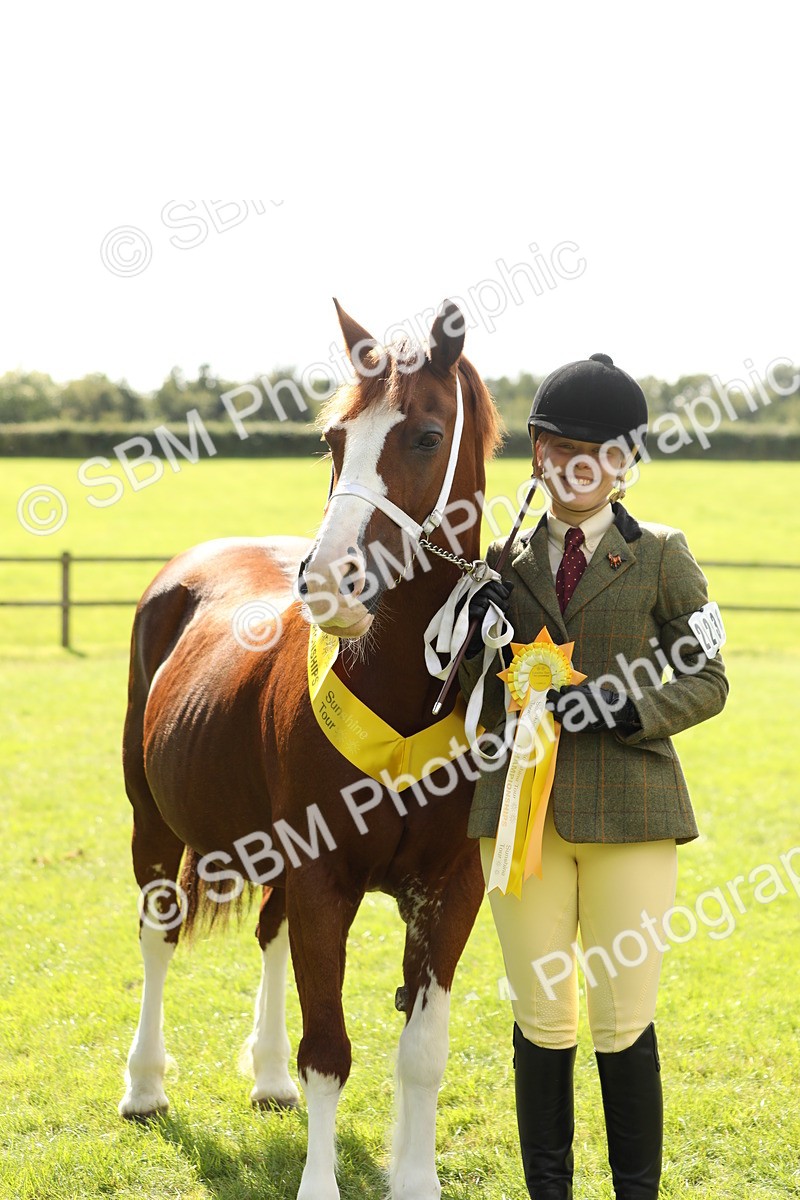 SBM_65512 - S47 - Mountain & Moorland In Hand Large Breeds