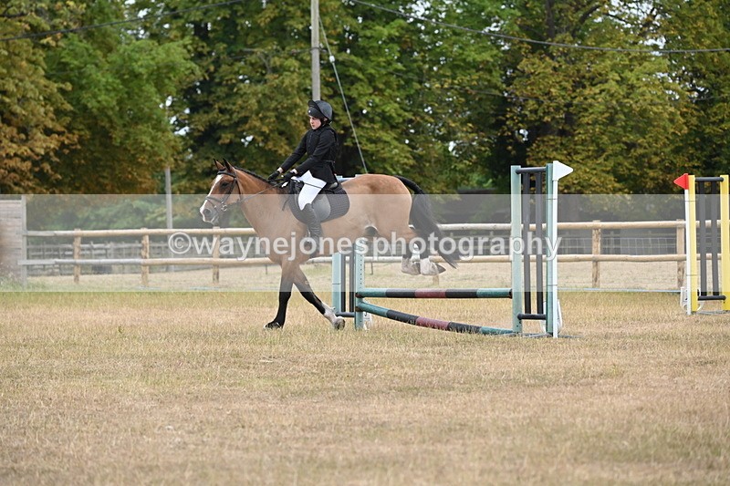 WJ6_0175 - Class 13 Novice Jumping 60cm