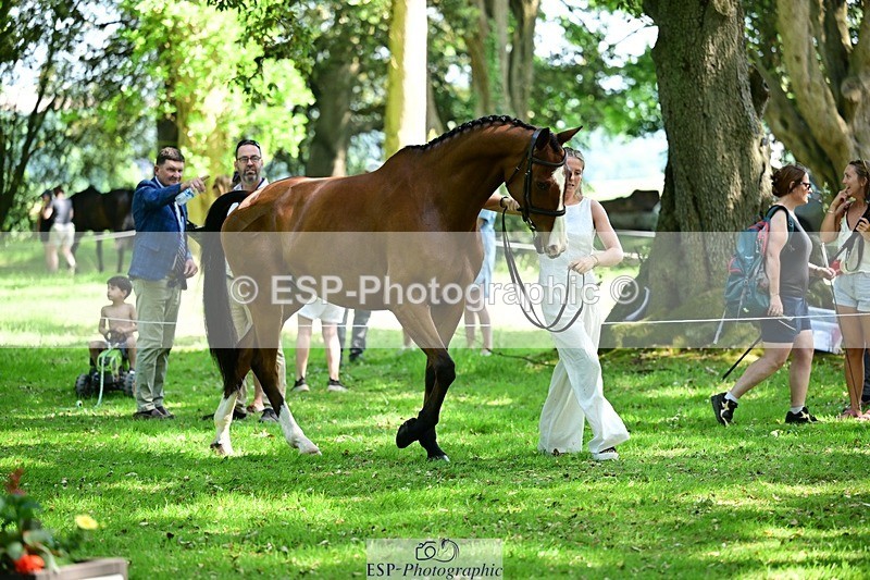 260527A-152717-01180 - C-374-Hannah.Nicolson